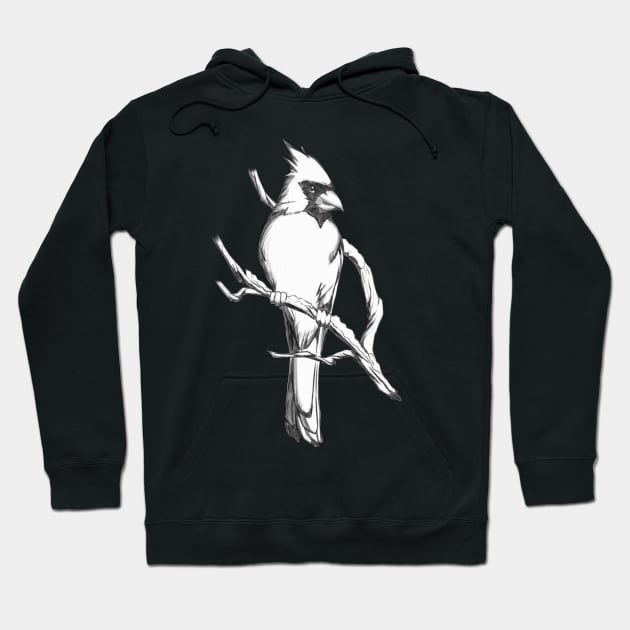 Northern Cardinal - Drawing Gift for Cardinal Lovers Hoodie by Xonaar Illustrations